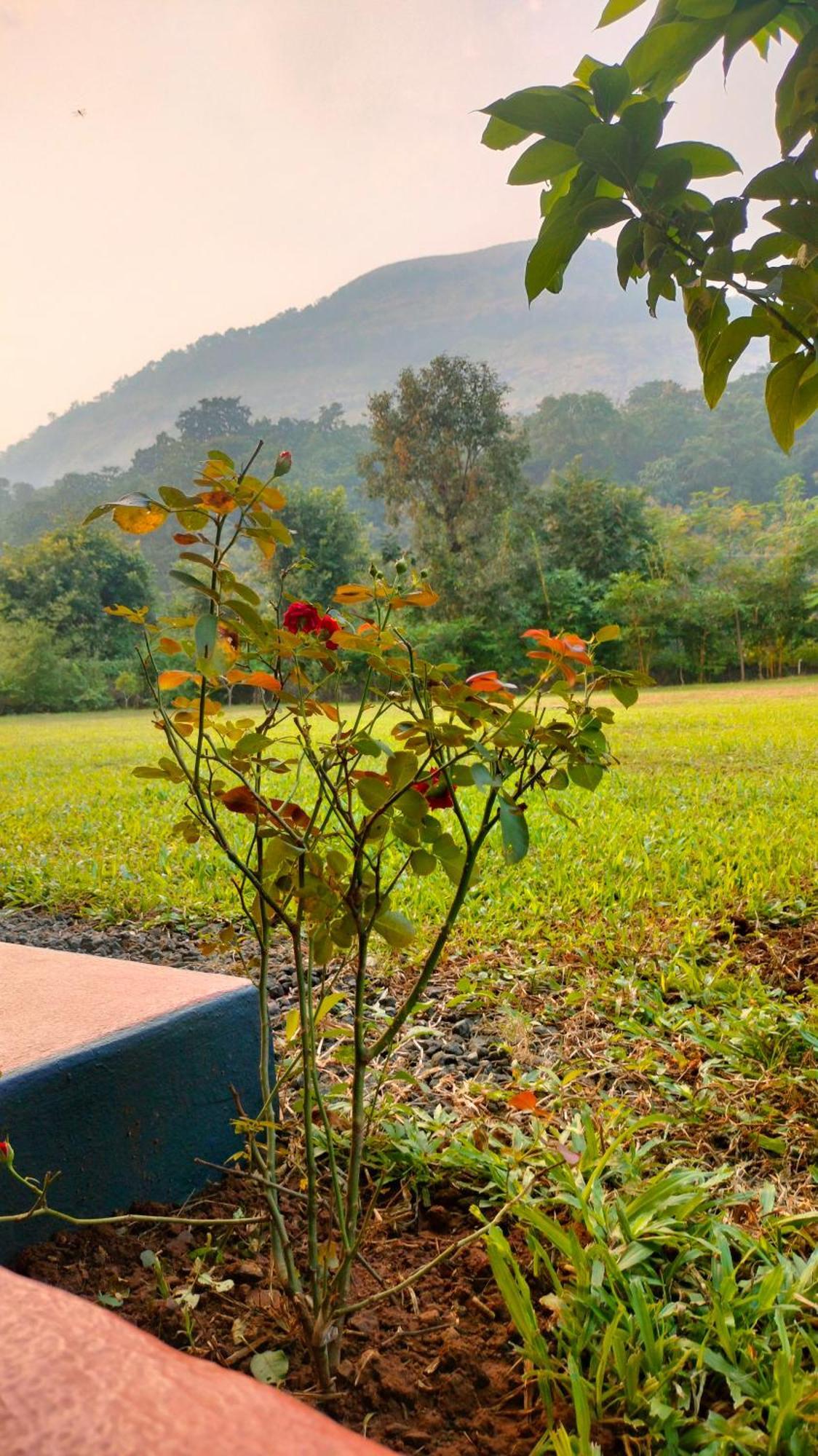 King'S Landing Villa Karjat Eksteriør bilde
